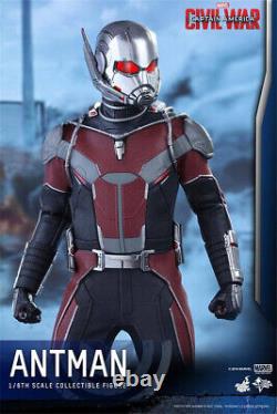 Hot Toys Captain America Civil War Ant-Man Soldier Figure 1/6 Collect Decoration