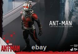 Hot Toys Movie Masterpiece ANT MAN 1/6 Scale Action Figure MINT! USED